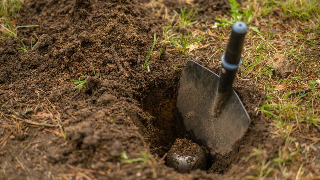 Was war in den Zeitkapseln versteckt?